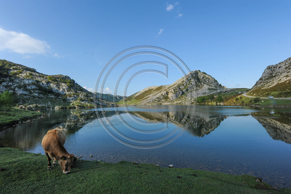 Lago Enol, ruta de Picos de Europa, Asturias